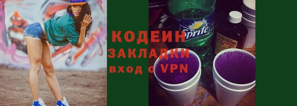 индика Верея